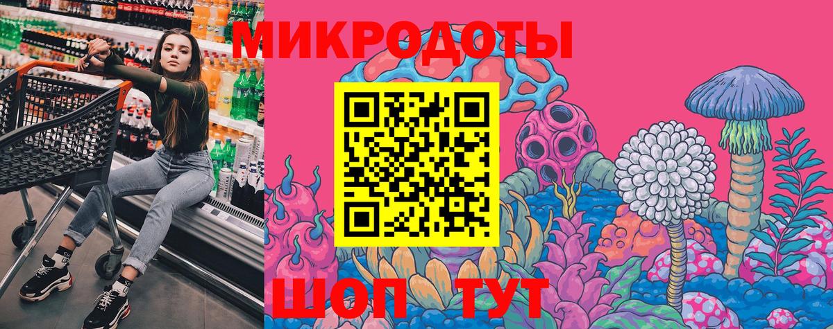 Псилоцибиновые грибы Psilocybe Реутов