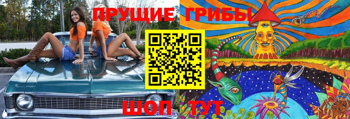 Реутов  Галлюциногенные грибы Cubensis  Галлюциногенные грибы мицелий  Вход с VPN 